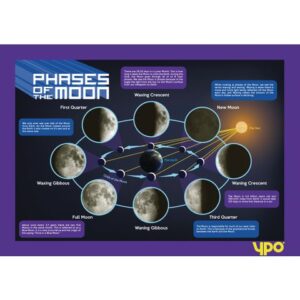 Moon's Lunar Phases