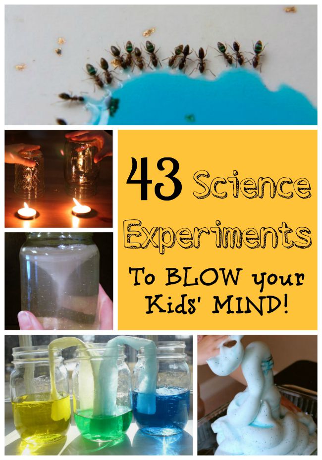 43 Primary Science Experiments