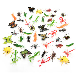 minibeasts collection
