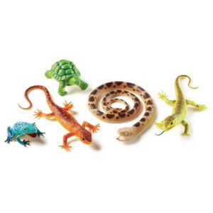 Jumbo Reptiles and Amphibians Set