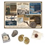 Mary Anning Fossil Pack
